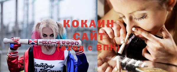 PSILOCYBIN Заводоуковск