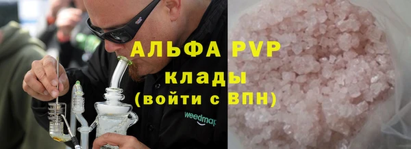 PSILOCYBIN Заводоуковск