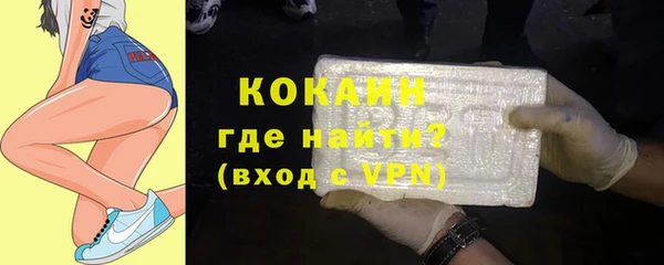 PSILOCYBIN Заводоуковск