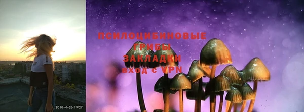 дурь Заволжск