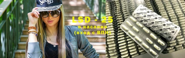 PSILOCYBIN Заводоуковск