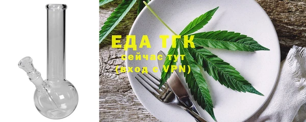 PSILOCYBIN Заводоуковск